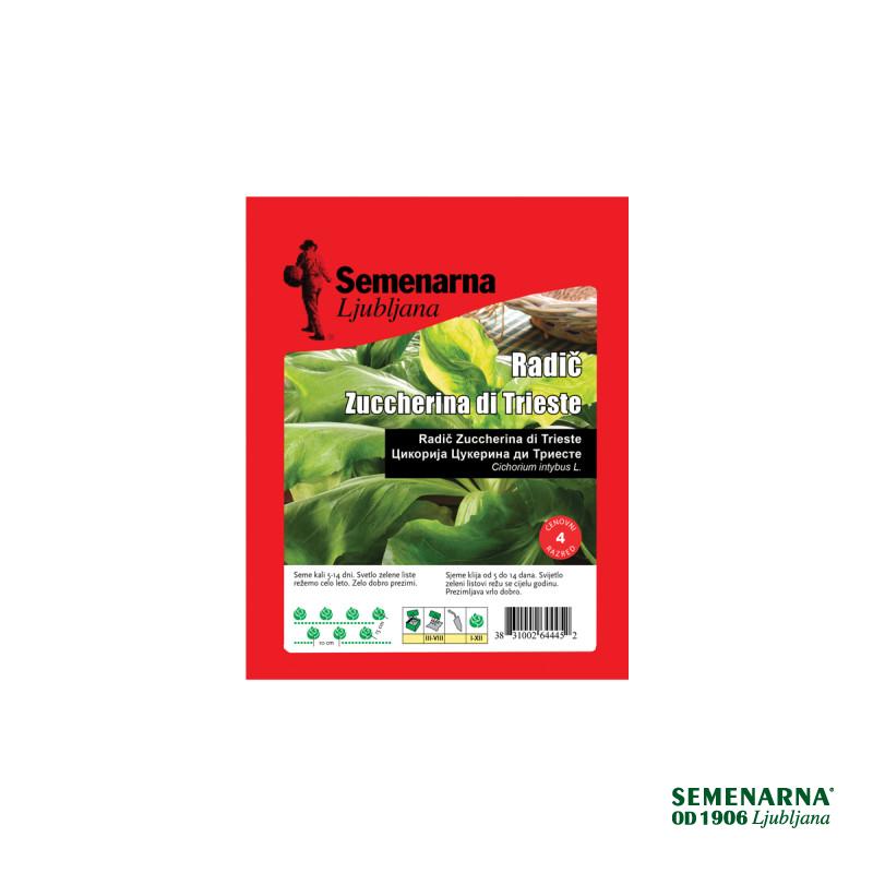 Radič Zuccherina Di Trieste 50 g Semenarna 