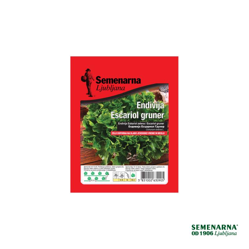 Endivija Escariol Grunner 50 g 