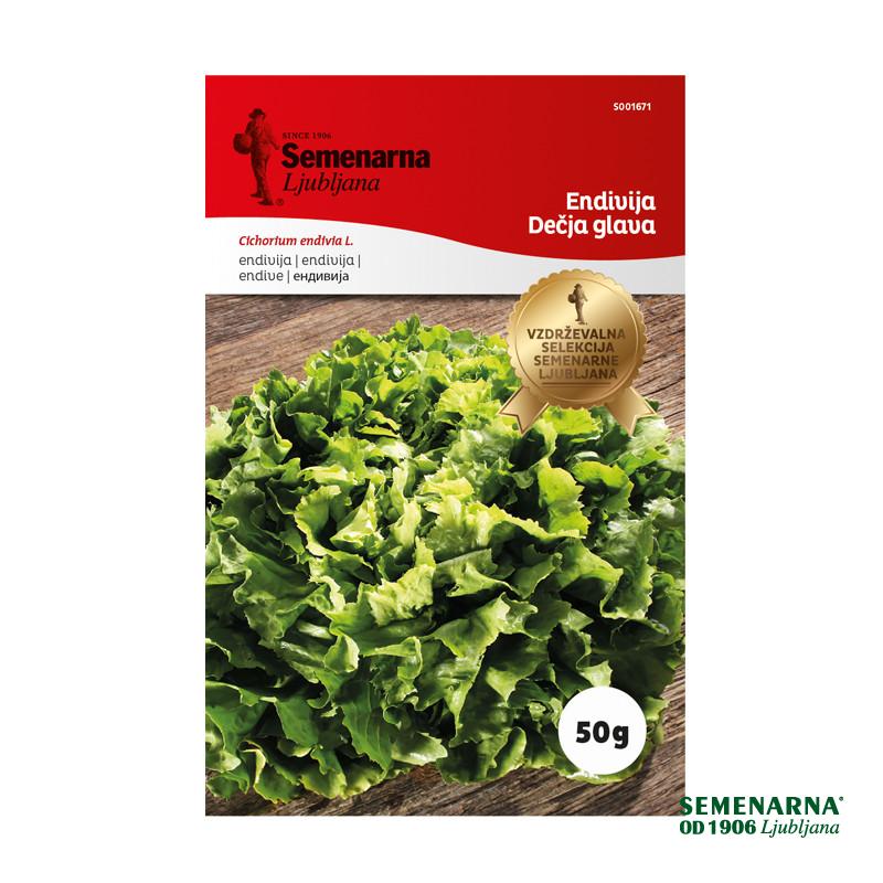 Endivija Decja Glava 50 g Semenarna 