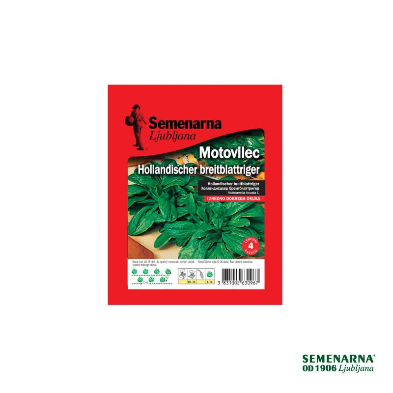 Motovilec Hollandischer Breitblattriger 25 g Semenarna 