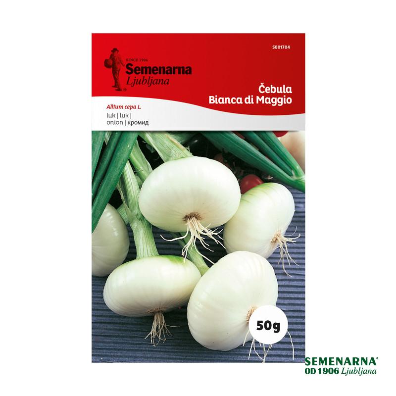 Čebula Bianca Di Maggio 50 g Semenarna 