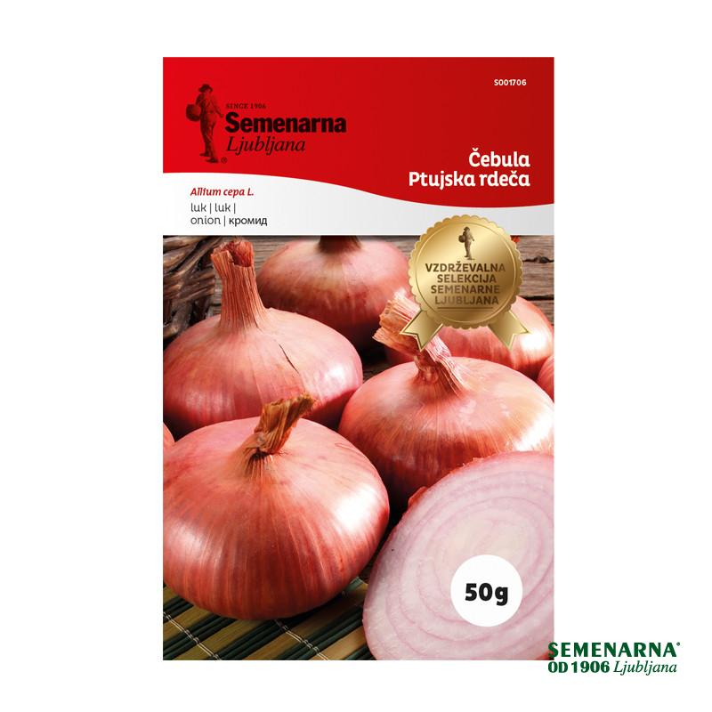 Čebula Ptujska Rdeča 50 g Semenarna 