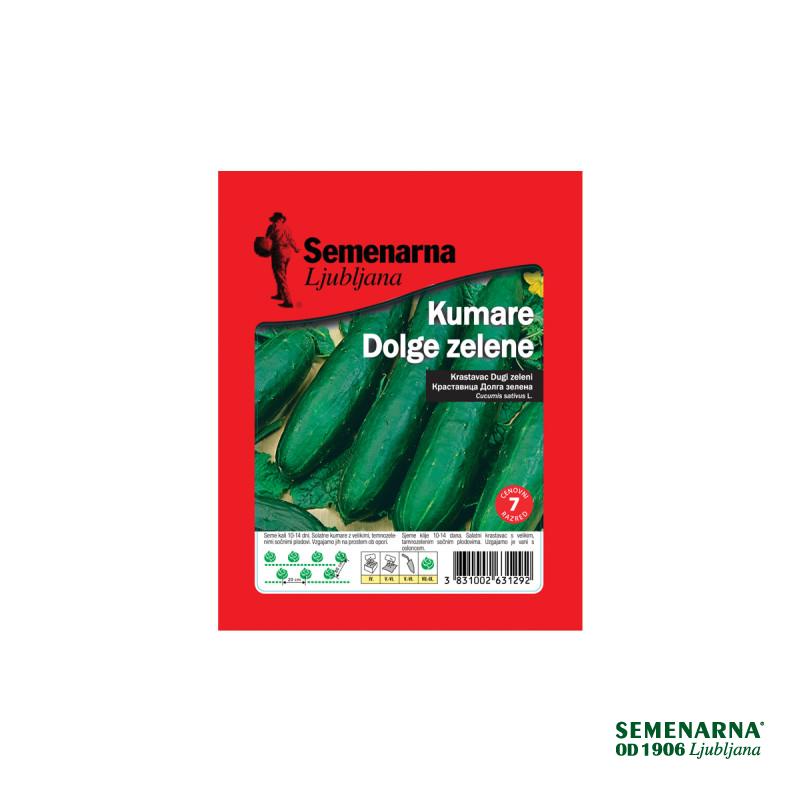 Kumara Dolga Zelena 25 g Semenarna 