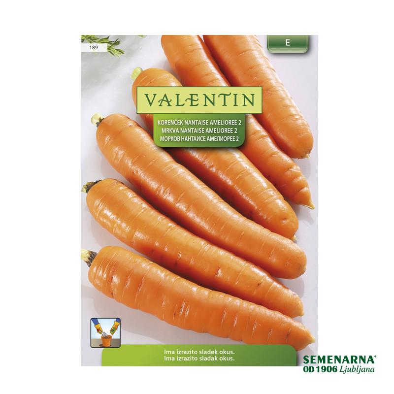 Valentin 189 Korenček Nantaise Amelioree 2 