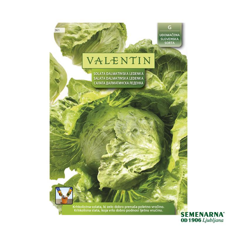 VALENTIN  361 SOLATA DALMATINSKA LEDENKA 