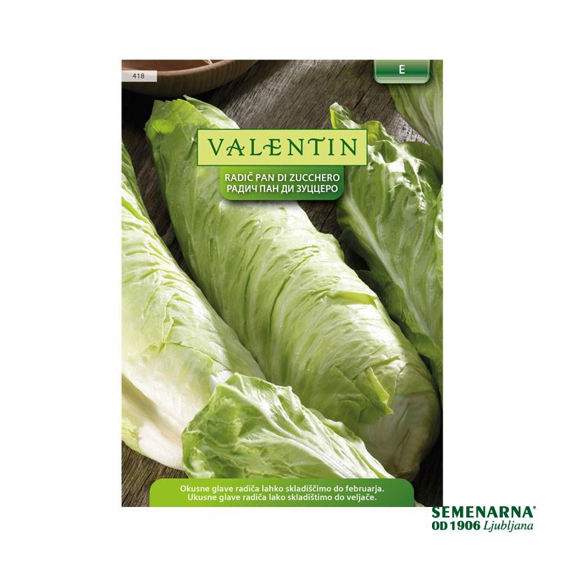 Valentin 418 Radič Pan di Zucchero 