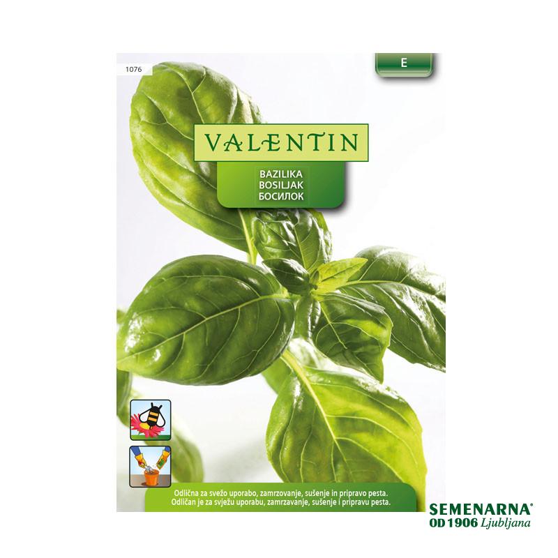 VALENTIN 1076 BAZILIKA 