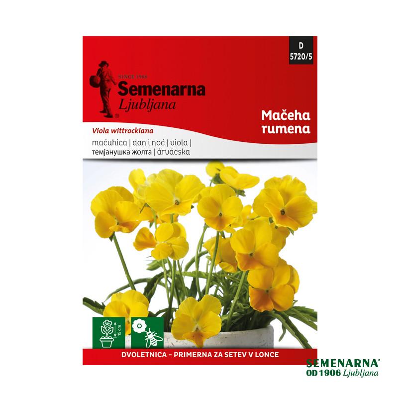 M.VREČKA 5720/5 MAČEHA RUMENA 