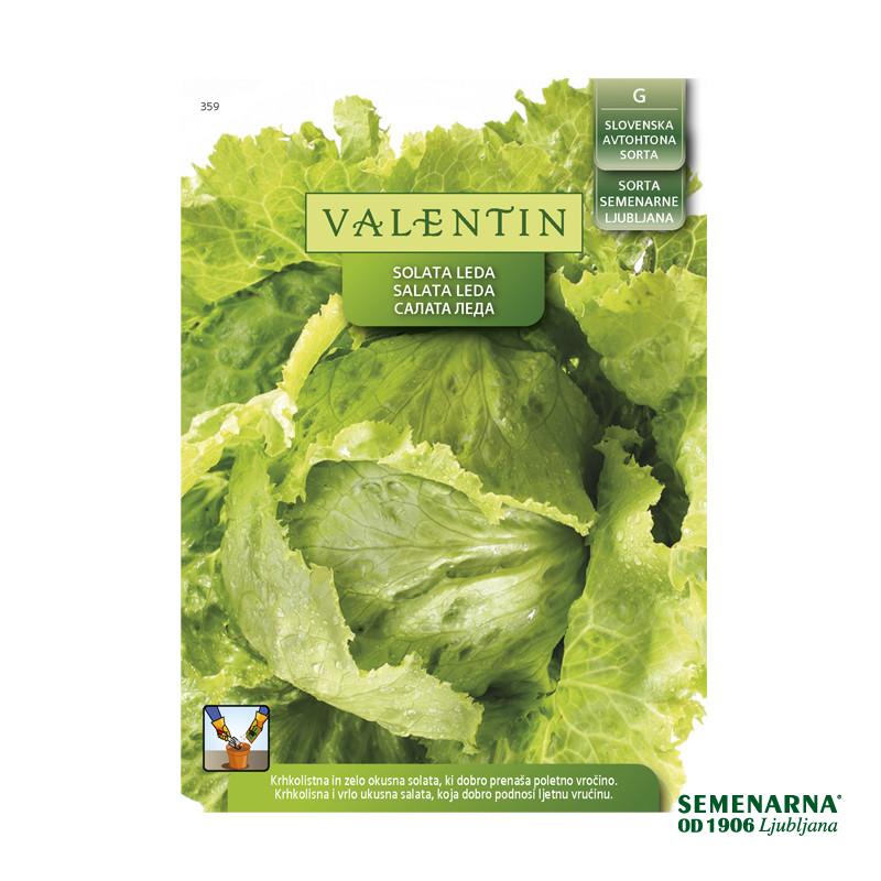 VALENTIN  359 SOLATA LEDA 