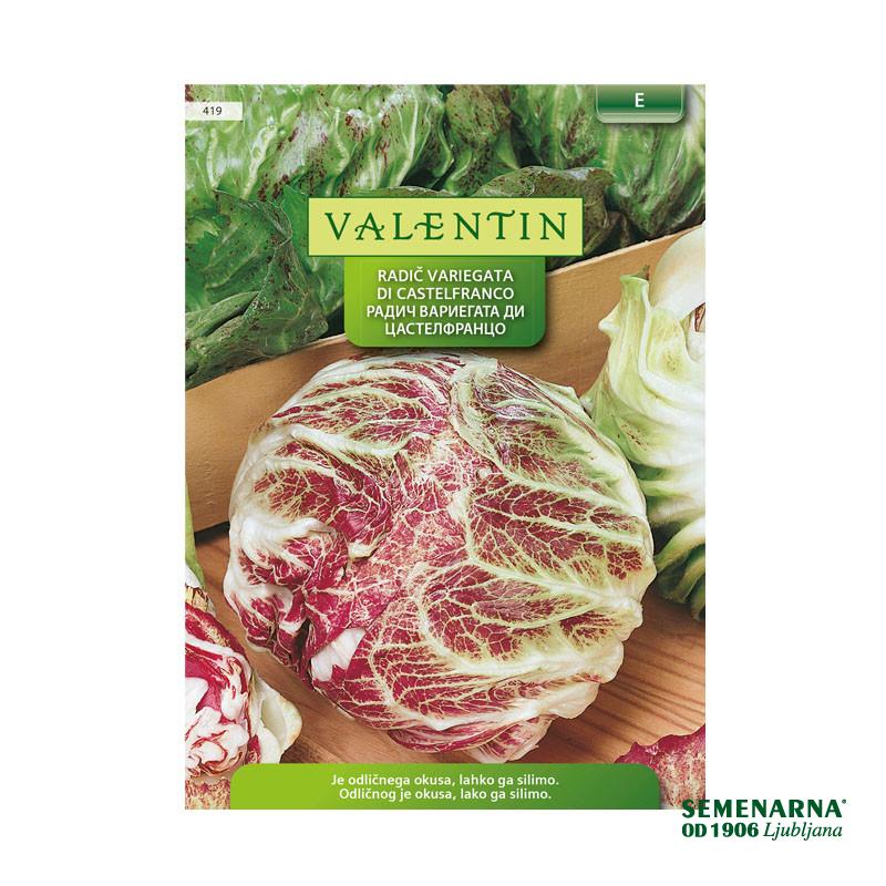 Valentin 419 Radič Variegata Di Castelfranco 