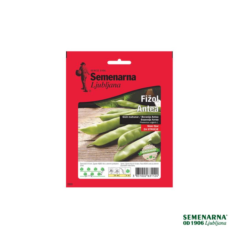 Fižol Antea 100 g Semenarna 