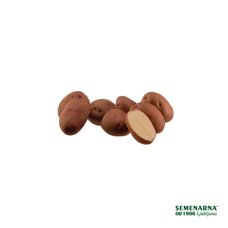 KROMPIR RUDOLPH E 25 kg 28/35 mm 