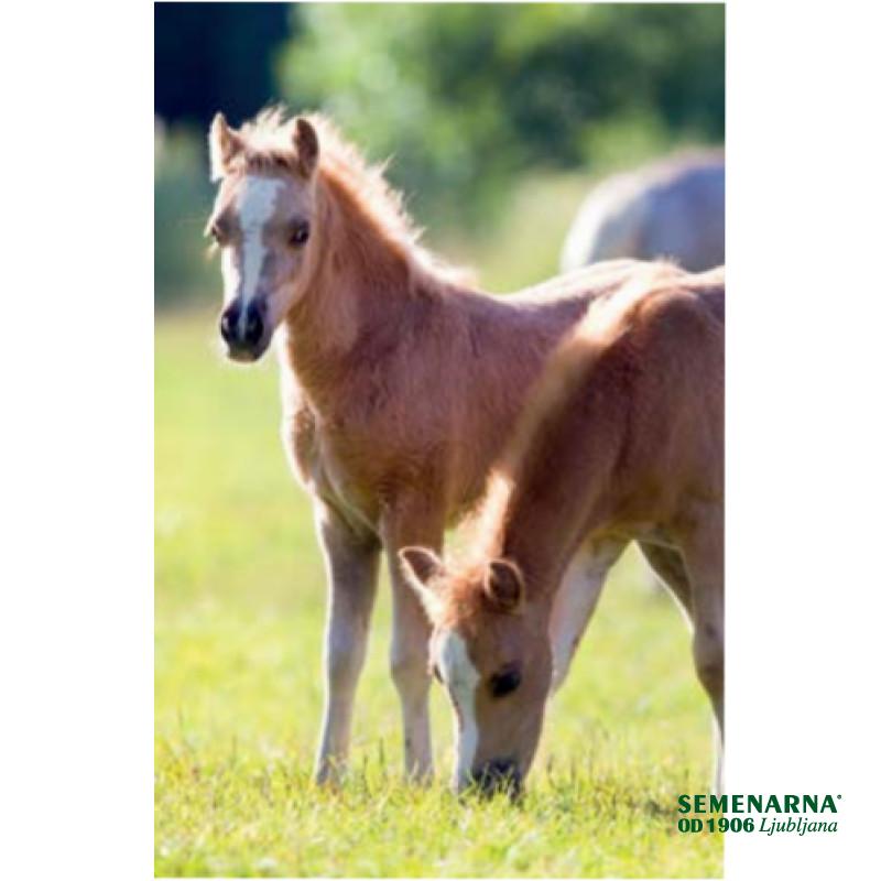 Vranec mešanica za konje 5 kg 