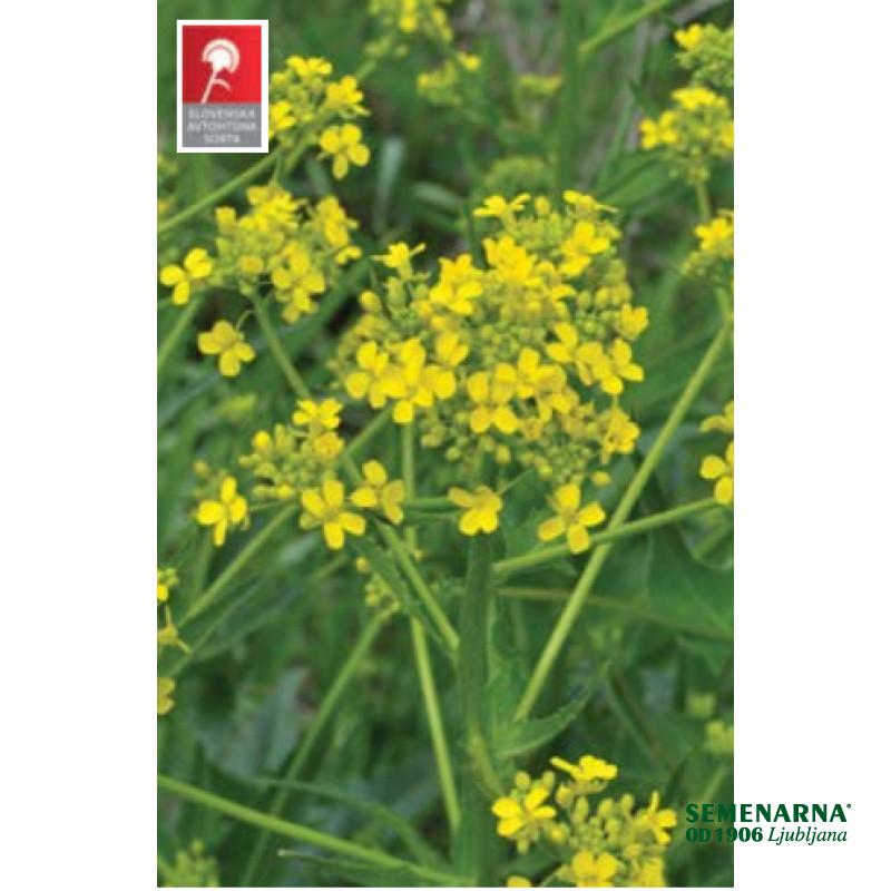 Krmna ogrščica Daniela 1 kg 