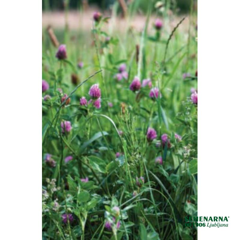 Travnik s črno deteljo 10 kg 