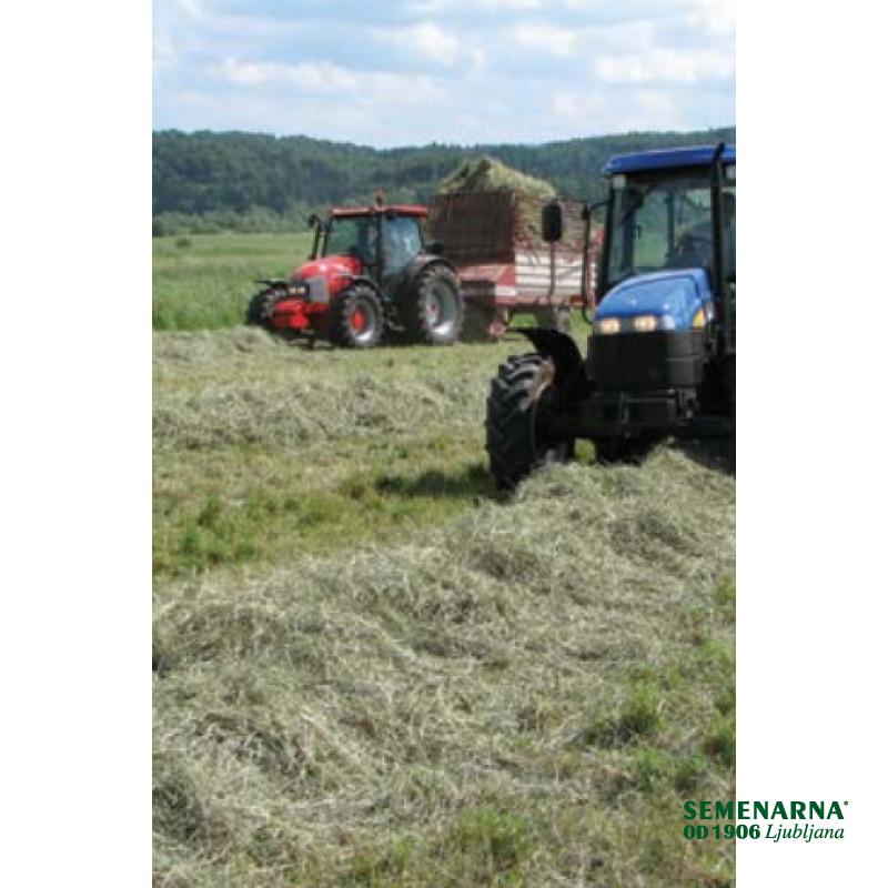 Travnik brez detelje 10 kg 