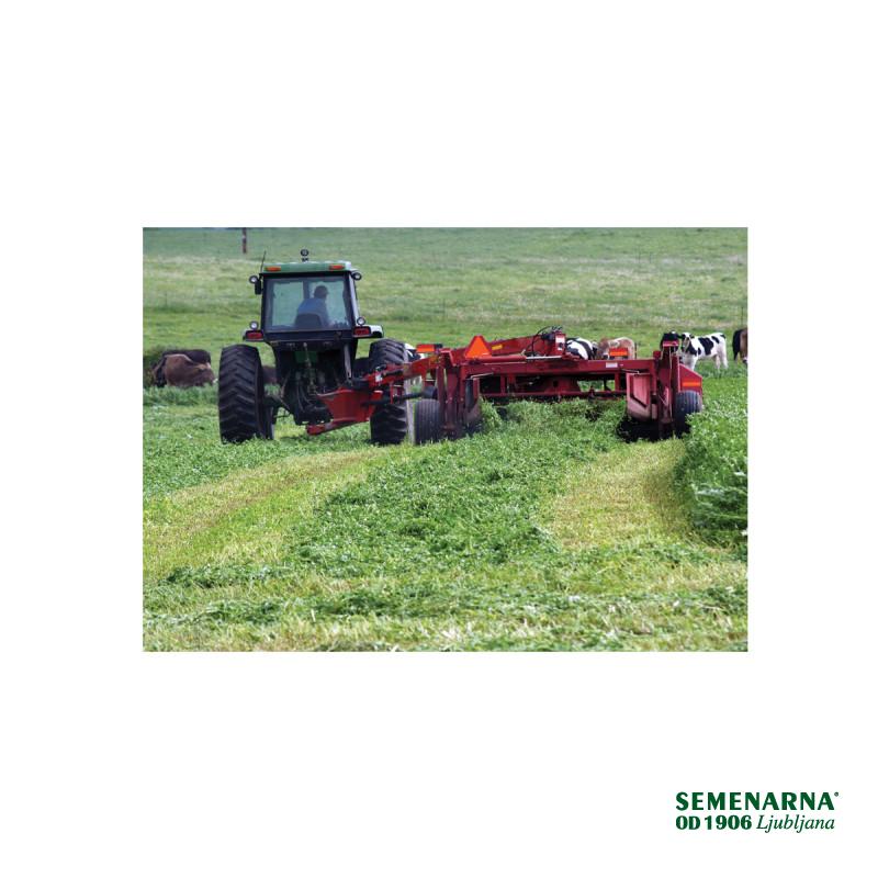 Travnik brez detelje 1 kg 