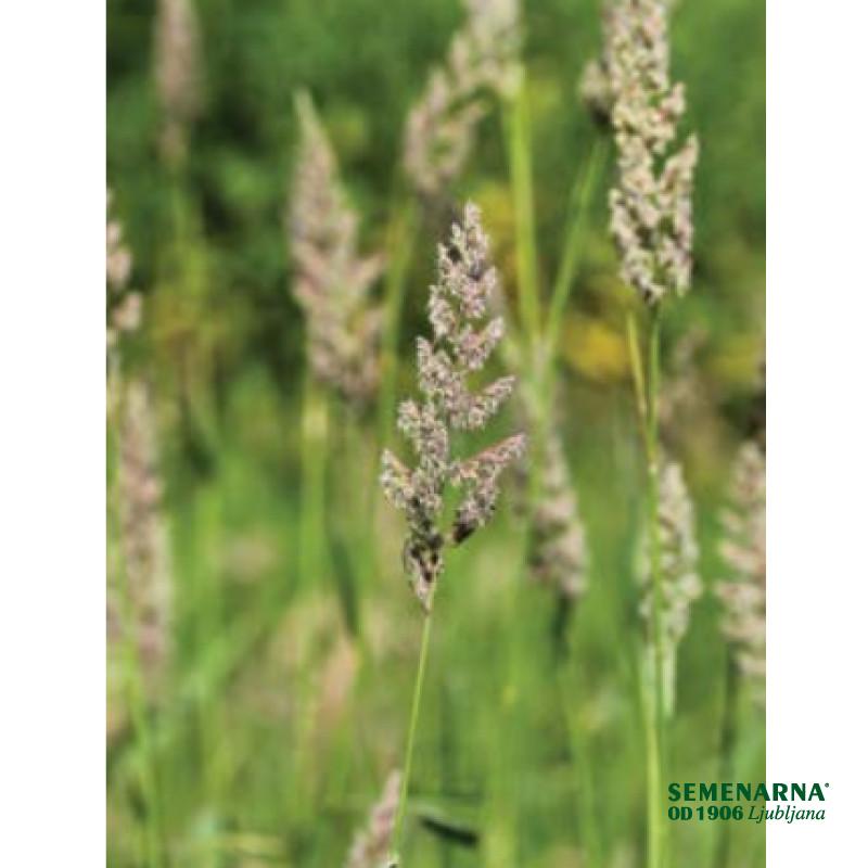 Pasja trava Treposno 5 kg 