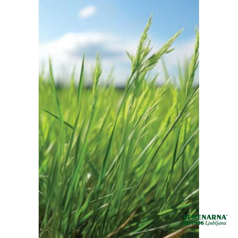 Mnog. ljuljka Melquatro 1 kg 