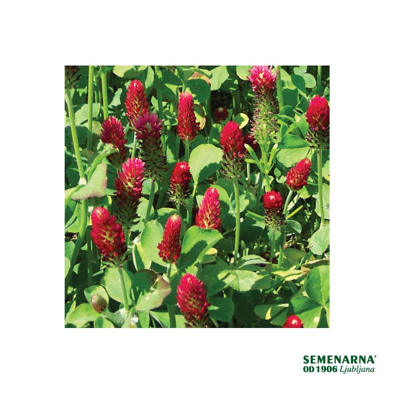 INKARNATKA HEUSERS OSTSAAT 25kg 