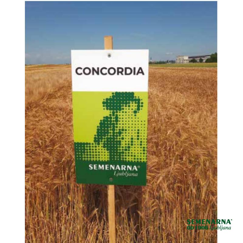 JEČMEN NAVADNI CONCORDIA C1 25 KG nerazkuženo 