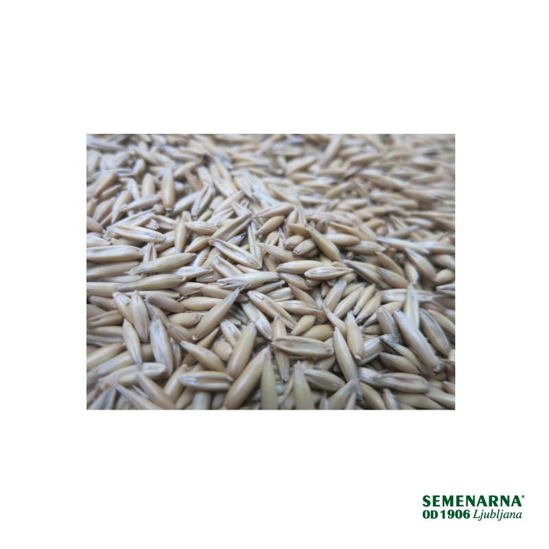 Oves Noni 25 kg netretirano 