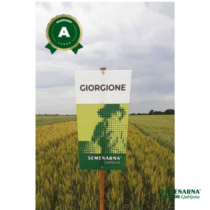 PŠENICA NAVADNA GIORGIONE C1 25 KG 