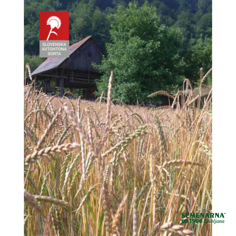 PIRA MURSKA BELA 15 kg C2 nerazkuž. 