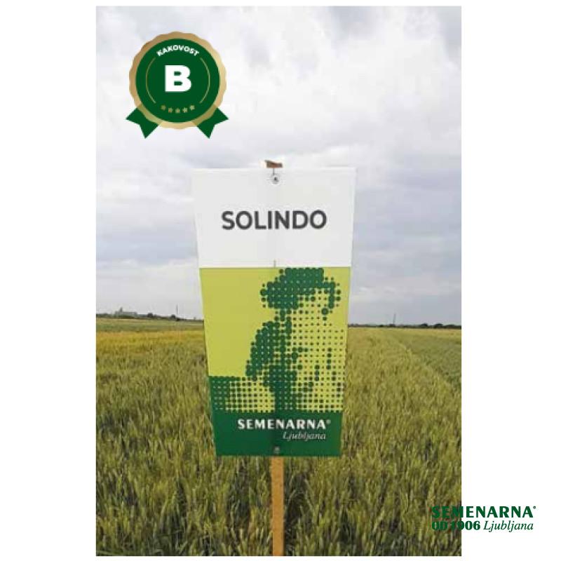 PŠENICA NAVADNA SOLINDO CS C1 25 KG T 