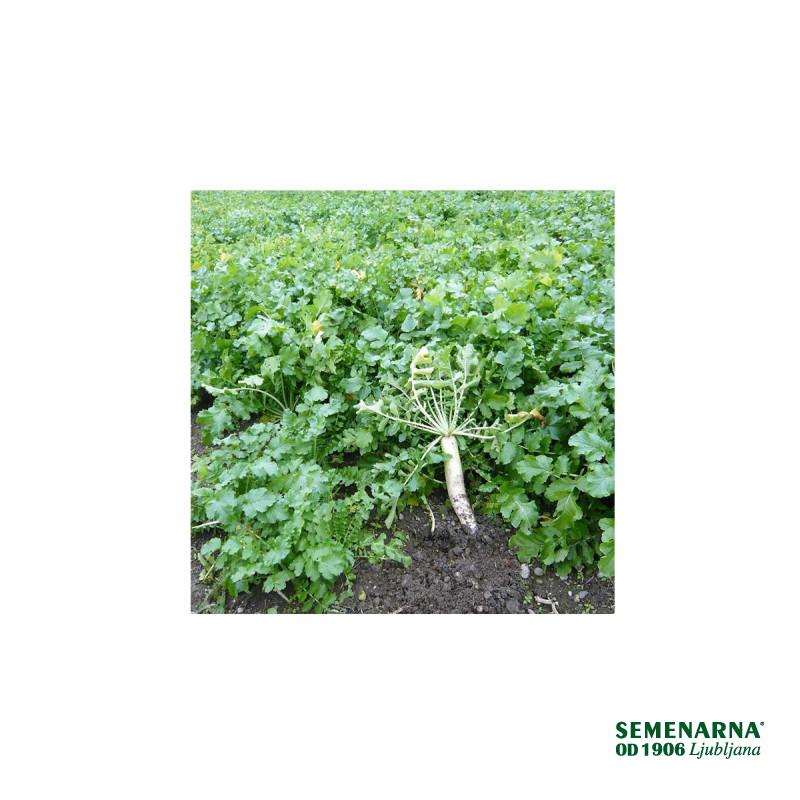 Meliorativna redkev 25 kg 