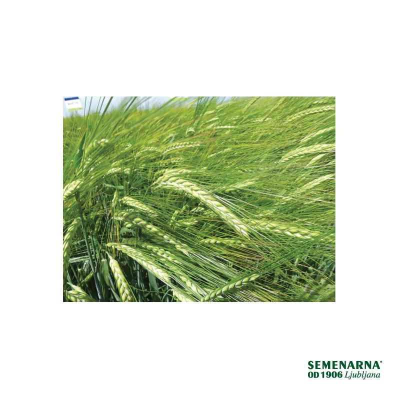 JEČMEN JARI FEEDWAY C1 25 kg 