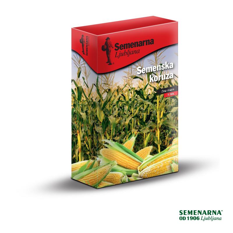 Koruza RGT Dragster 5 MK 