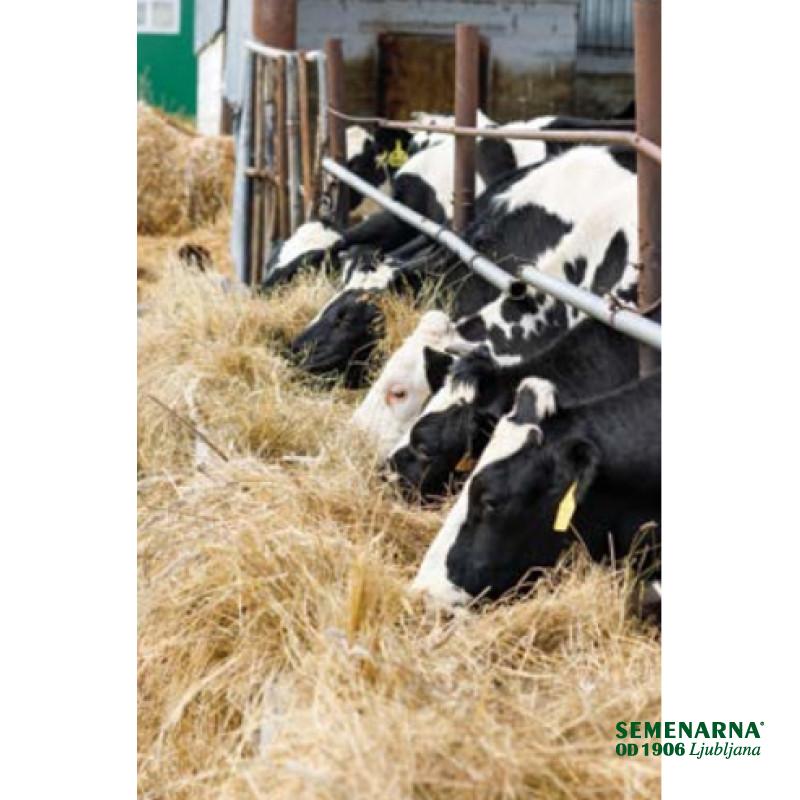 Njiva 3 večletna kompleksna DTM z lucerno 10 kg 