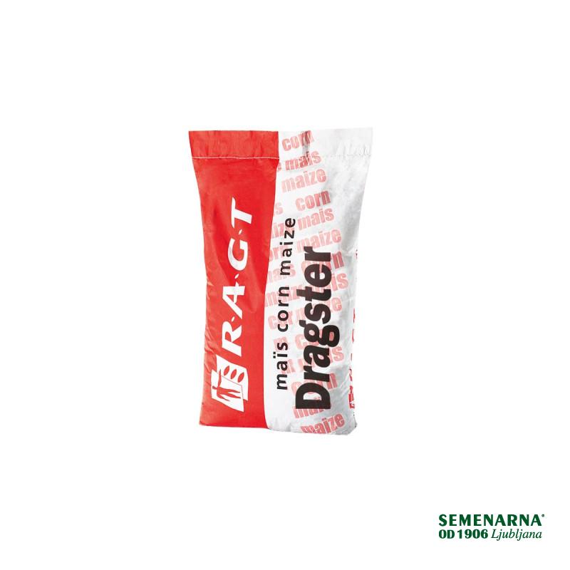 Koruza RGT DRAGSTER 50 MK Korit + Force 