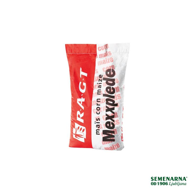 Koruza RGT MEXXPLEDE 50 MK Korit + Force 