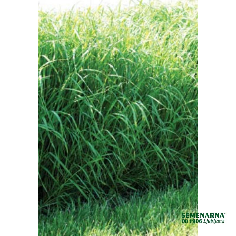 Sudanska trava Gardavan 15 kg 