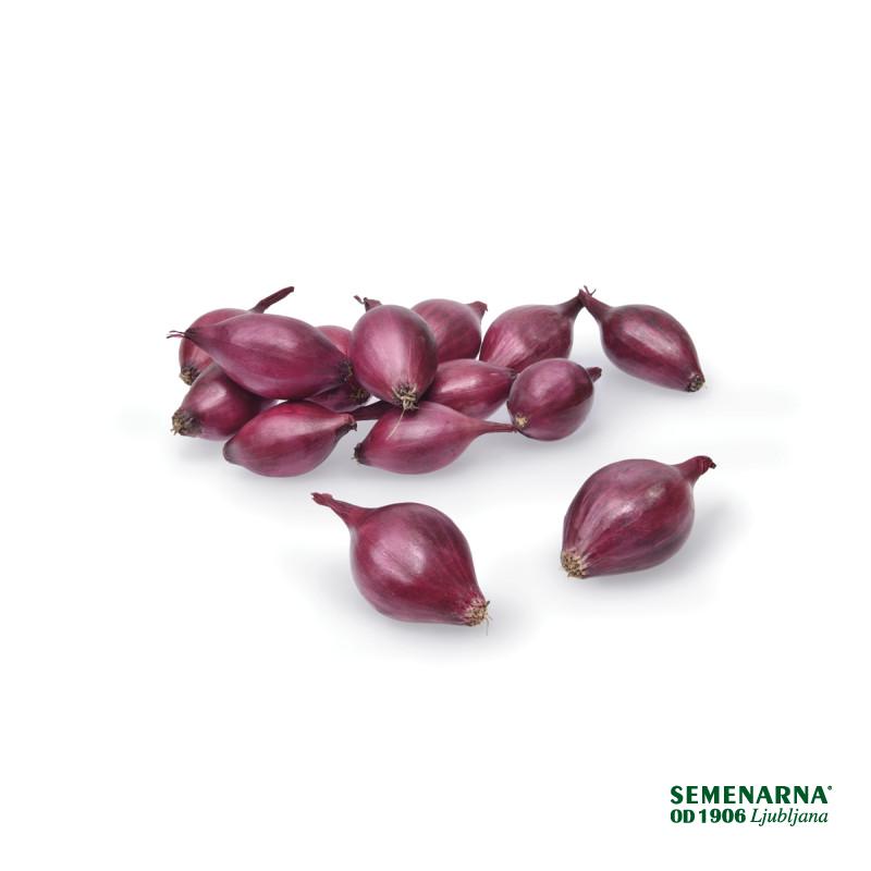 ČEBULČEK RDEČI TERA 500 g 