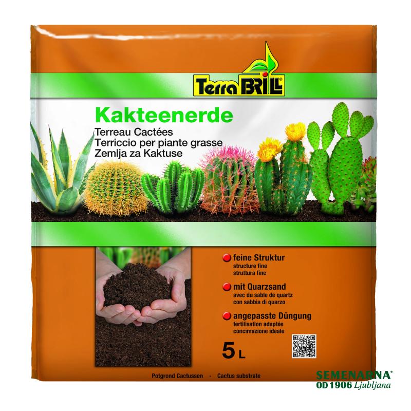 Brill-zemlja za kaktuse 5 l 