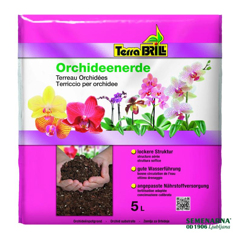 Brill-zemlja za orhideje 5 l 