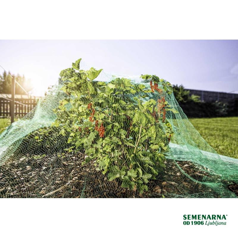 Mreža proti pticam 5x2 m 