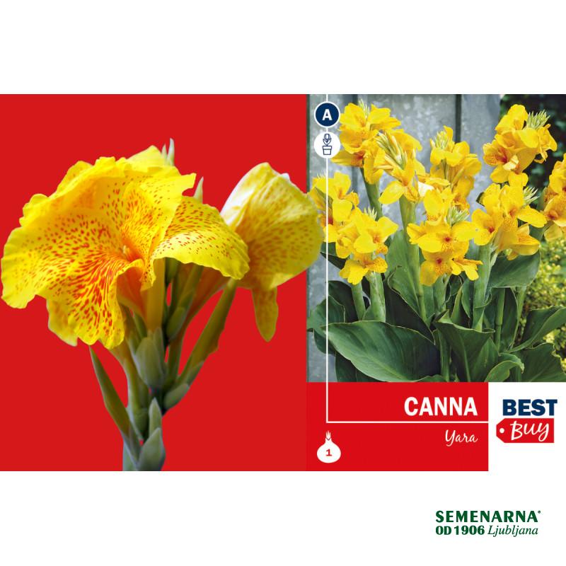 Best buy Canna Yara 1/1 