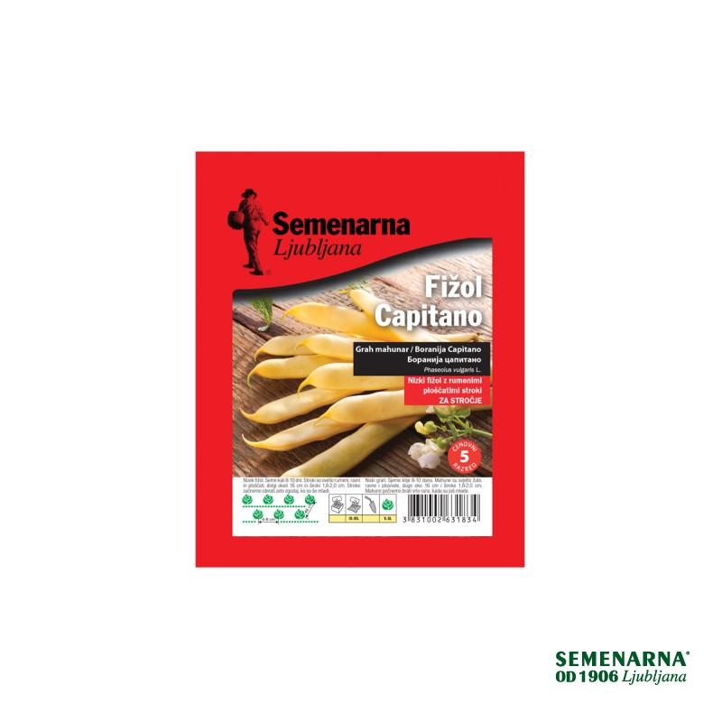 Fižol Capitano (nizek rumen ploščat) 100 g Semenarna 