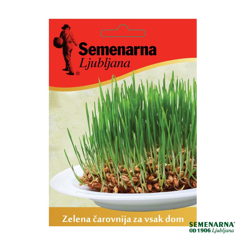 M.VREČKA  BOŽIČNO ŽITO 