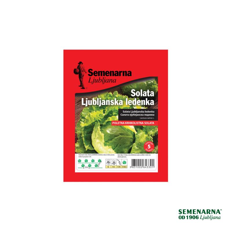 Solata ljubljanska ledenka 25 g Semenarna 