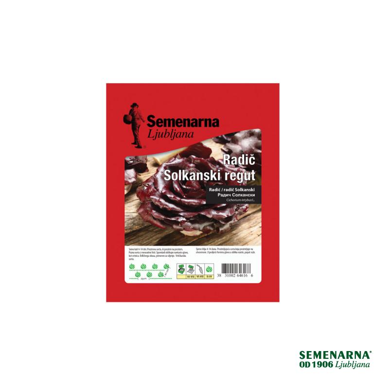 RADIČ SOLKANSKI REGUT 50 g Semenarna 