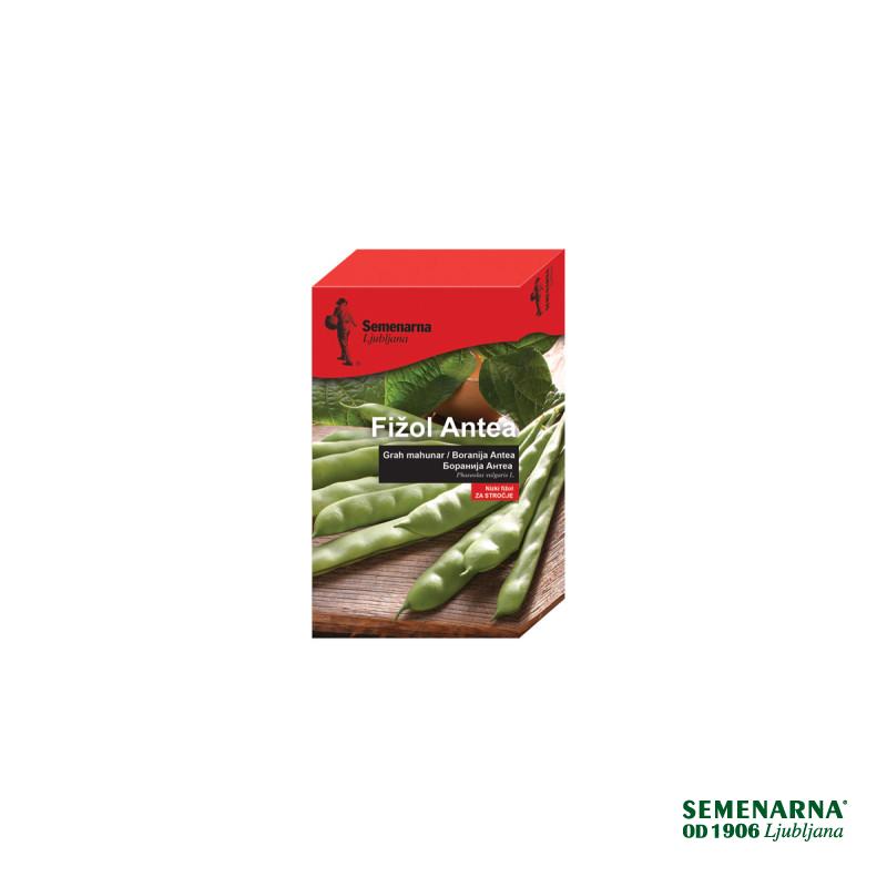 Fižol Antea 200 g šk Semenarna 