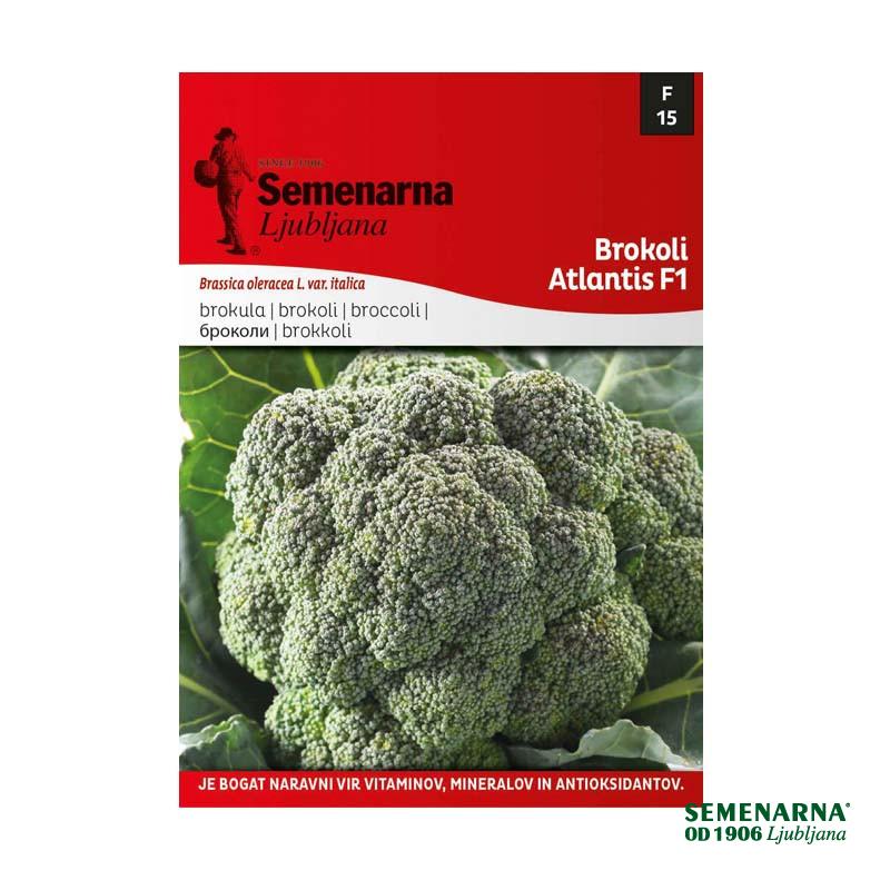 M.VREČKA   15 BROKOLI ATLANTIS F1 