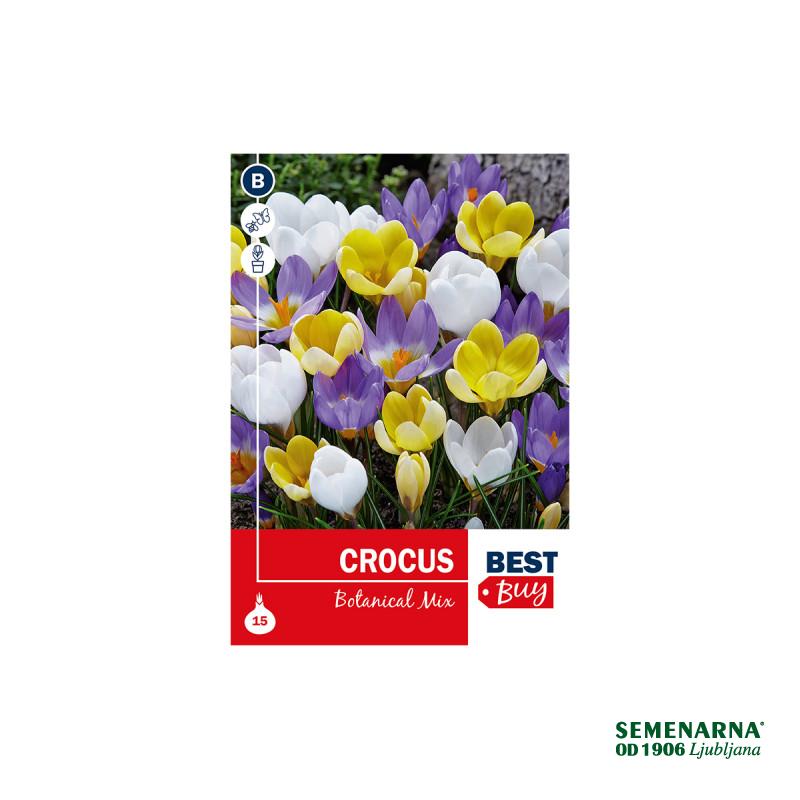 Super Best Buy Crocus Botanical Mix 15/1 