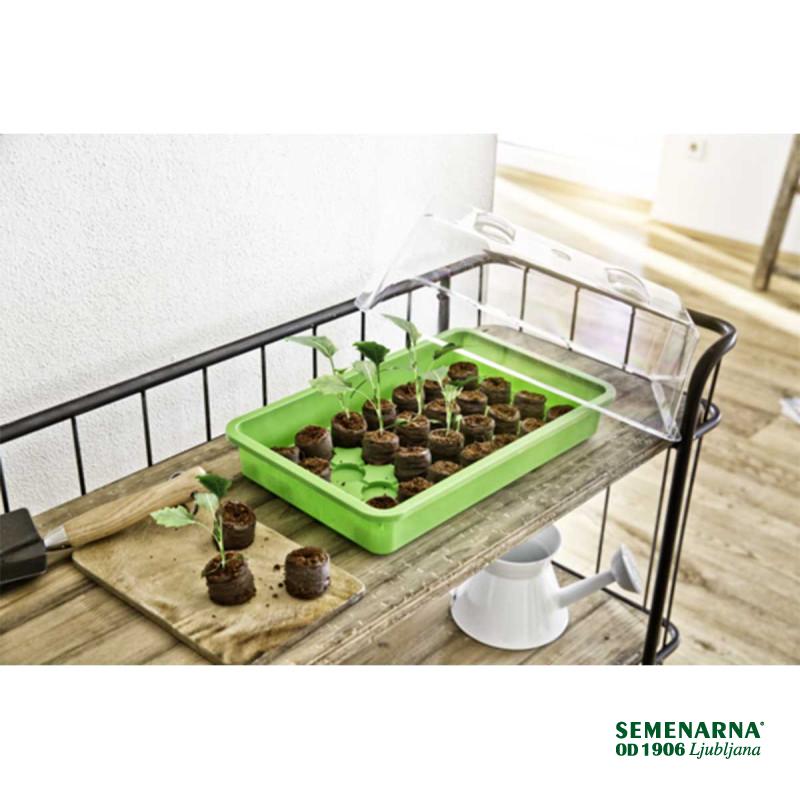 Rastlinjak mini sobni 38x24x6 cm zel., rum. 