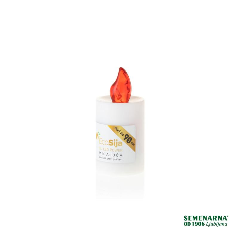 ELEKTRONSKI MODUL STALNO GOREČ 90 DNI 